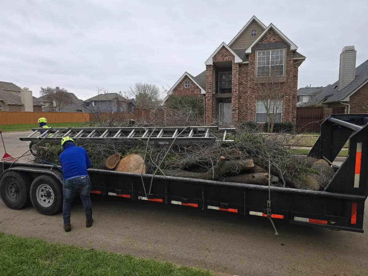 Expert Lot Clearing with proper safety equipment in Bronson